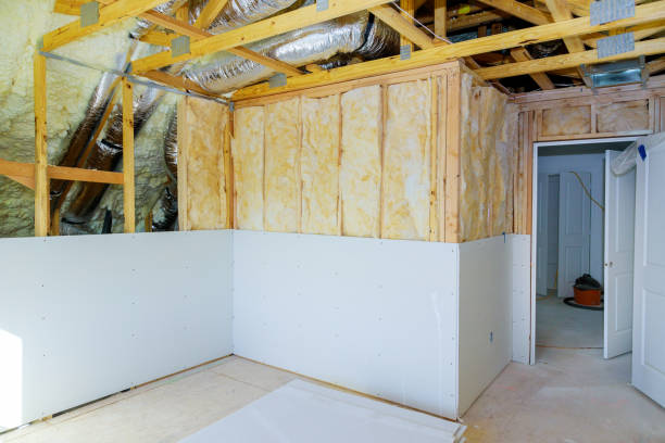 Best Insulation Maintenance and Repair in Spring Valley, WI