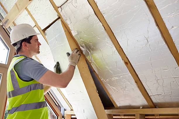 Best Commercial Insulation in Spring Valley, WI